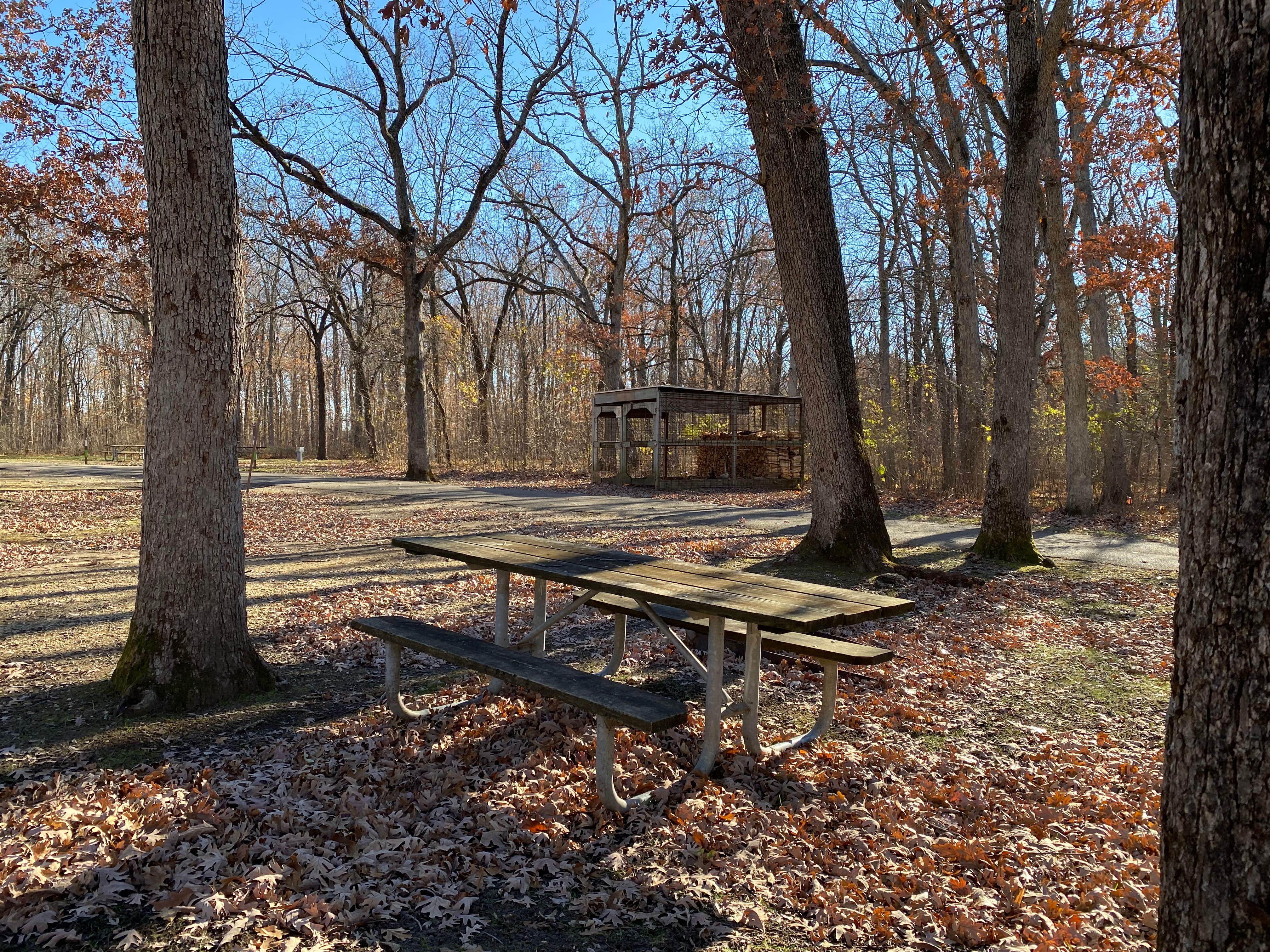 Camper submitted image from Hononegah Forest Preserve - 3