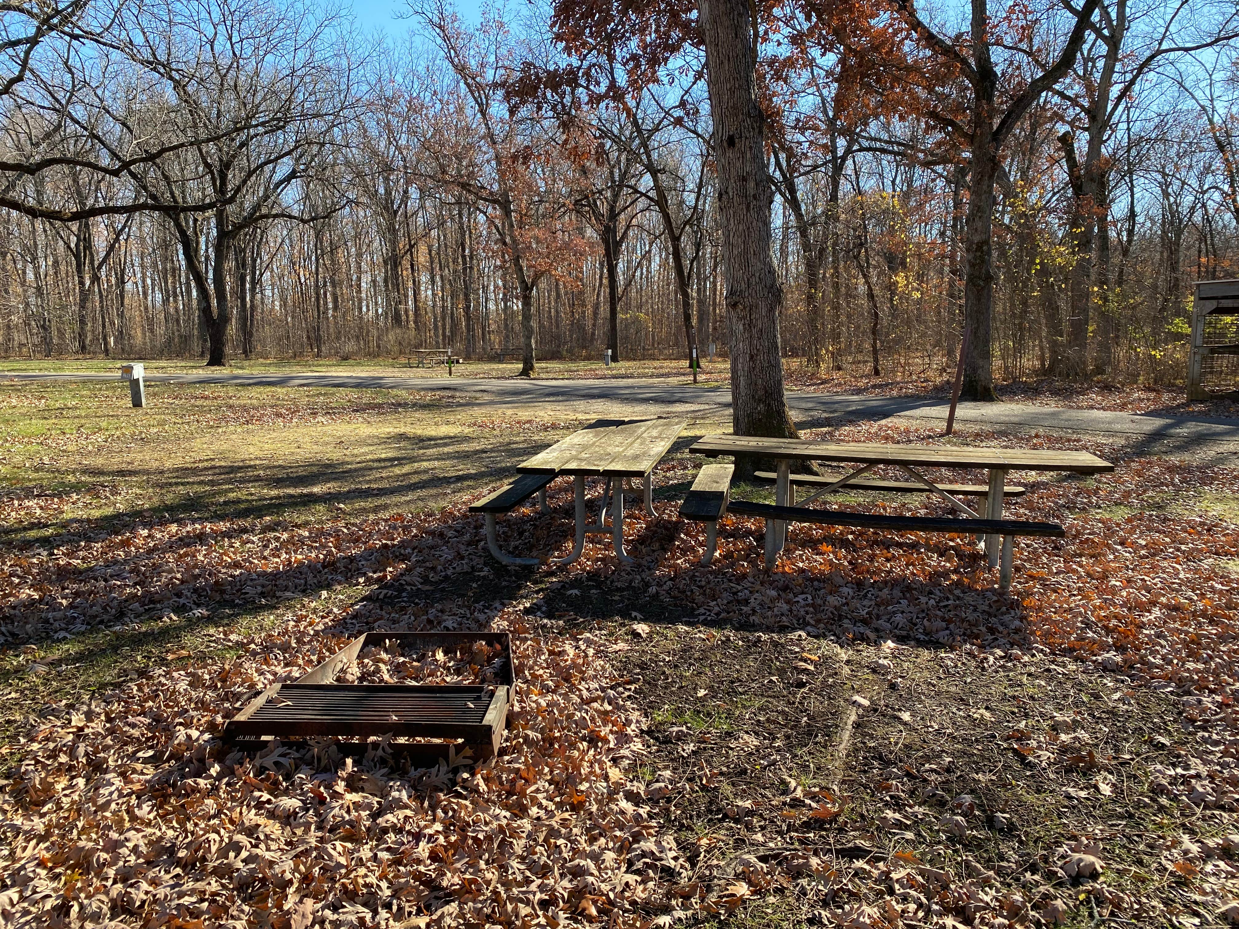 Camper-submitted photo at Hononegah Forest Preserve near Rockton, IL