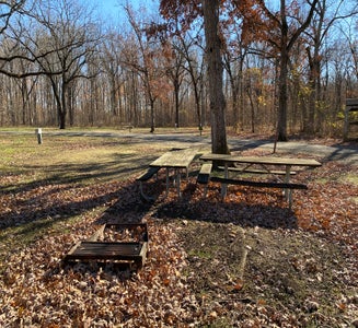 Camper-submitted photo from Hononegah Forest Preserve