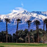 Review photo of The Oasis at Death Valley Fiddlers' Campground by Shari  G., May 1, 2023