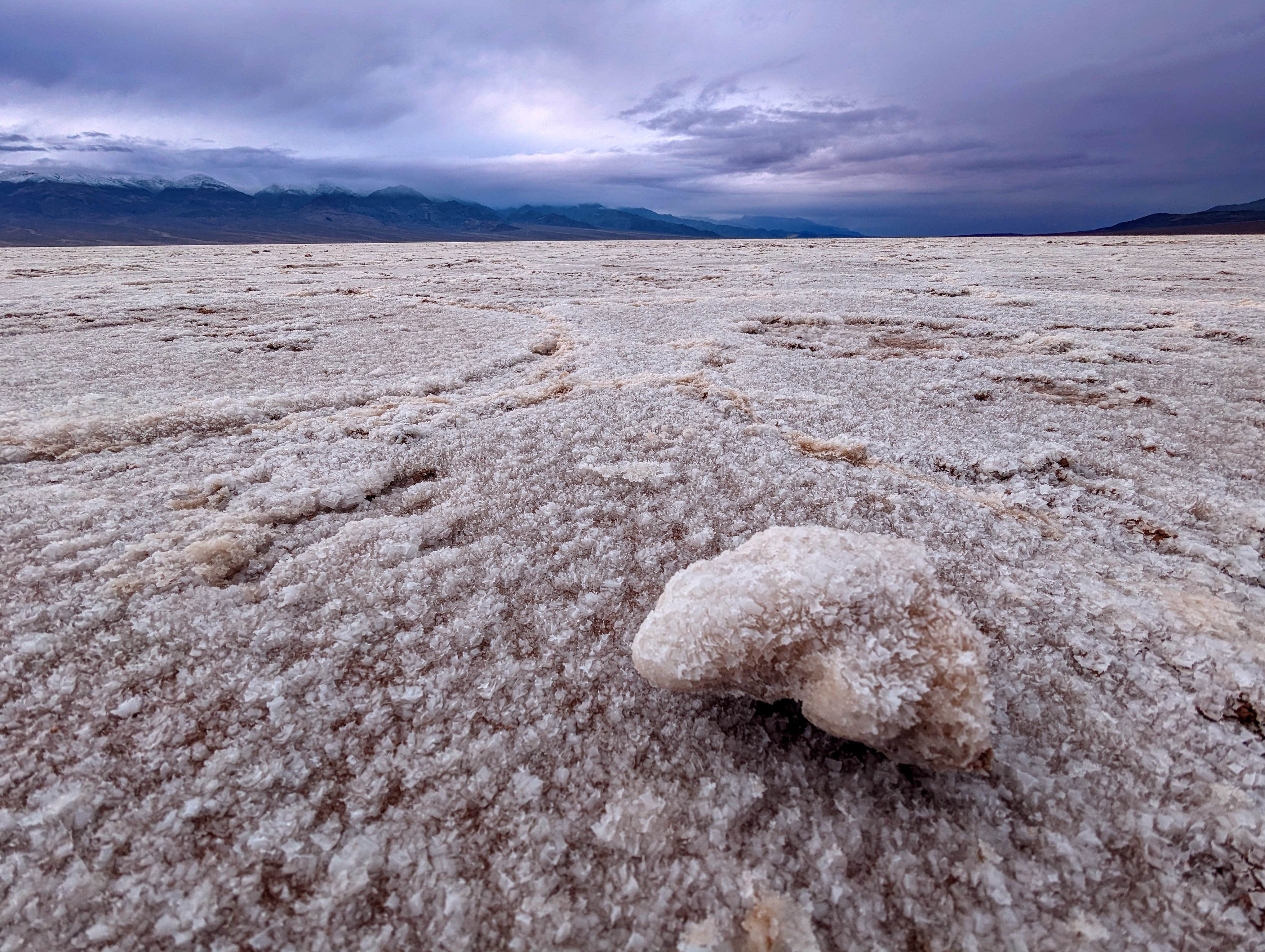Shari  G.'s photo of camping with pets at The Oasis at Death Valley Fiddlers' Campground near Beatty, NV