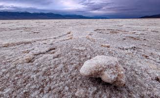 Shari  G.'s photo of camping with pets at The Oasis at Death Valley Fiddlers' Campground near Death Valley National Park