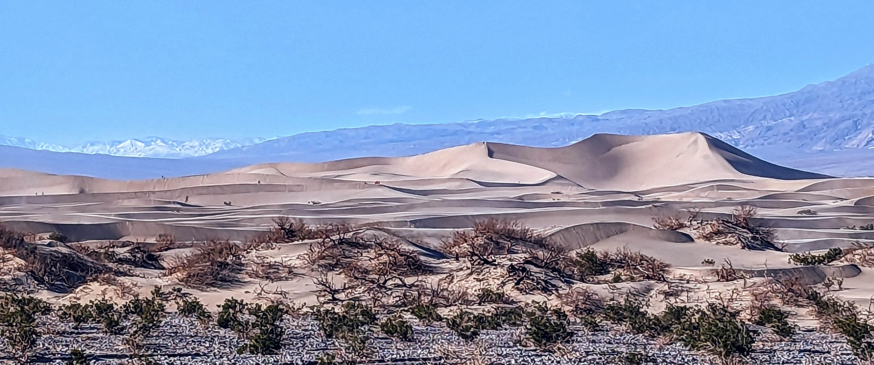 Camper-submitted photo at The Oasis at Death Valley Fiddlers' Campground near Shoshone, CA