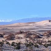 Review photo of The Oasis at Death Valley Fiddlers' Campground by Shari  G., May 1, 2023