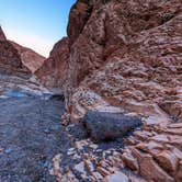 Review photo of The Oasis at Death Valley Fiddlers' Campground by Shari  G., May 1, 2023