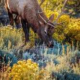 Review photo of Mather Campground — Grand Canyon National Park by Darrin L., August 17, 2016
