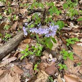 Review photo of Delaney Creek Park by Tiffany T., May 1, 2023