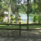 Review photo of Salt Springs Recreation Area by Nate D., October 8, 2018