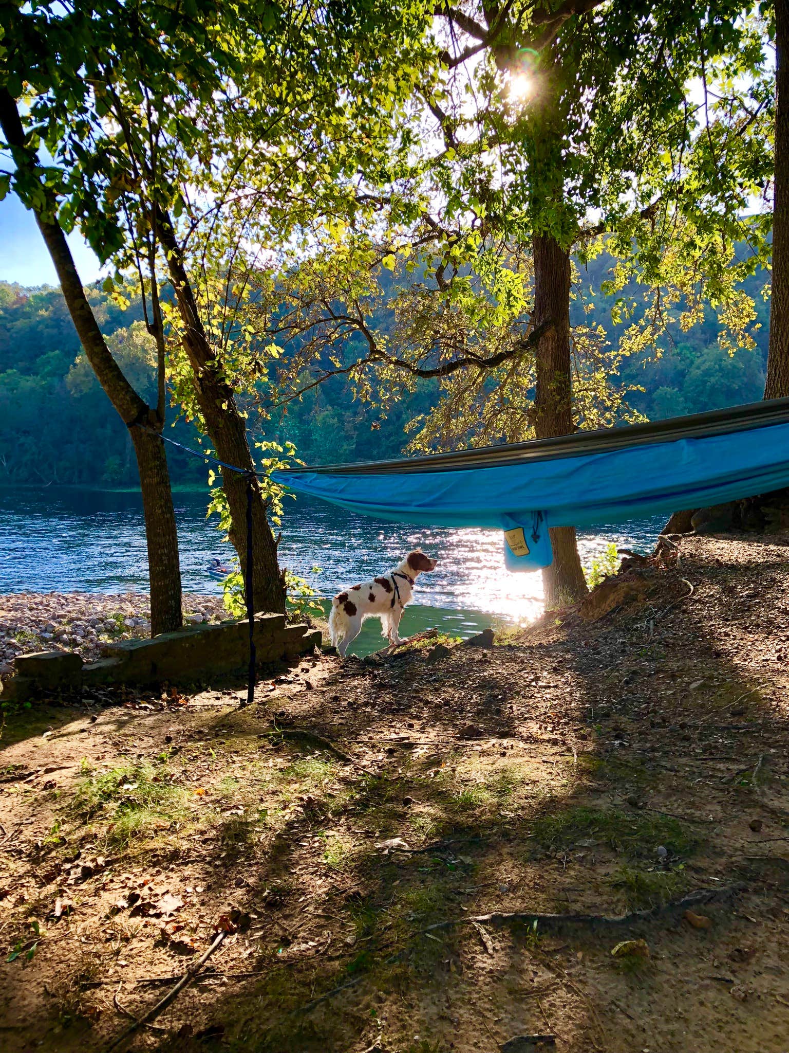 Wendy C.'s photo at Bull Shoals-White River State Park near Gainesville, MO
