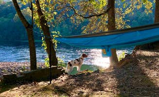 Wendy C.'s photo at Bull Shoals-White River State Park near Greeson Lake