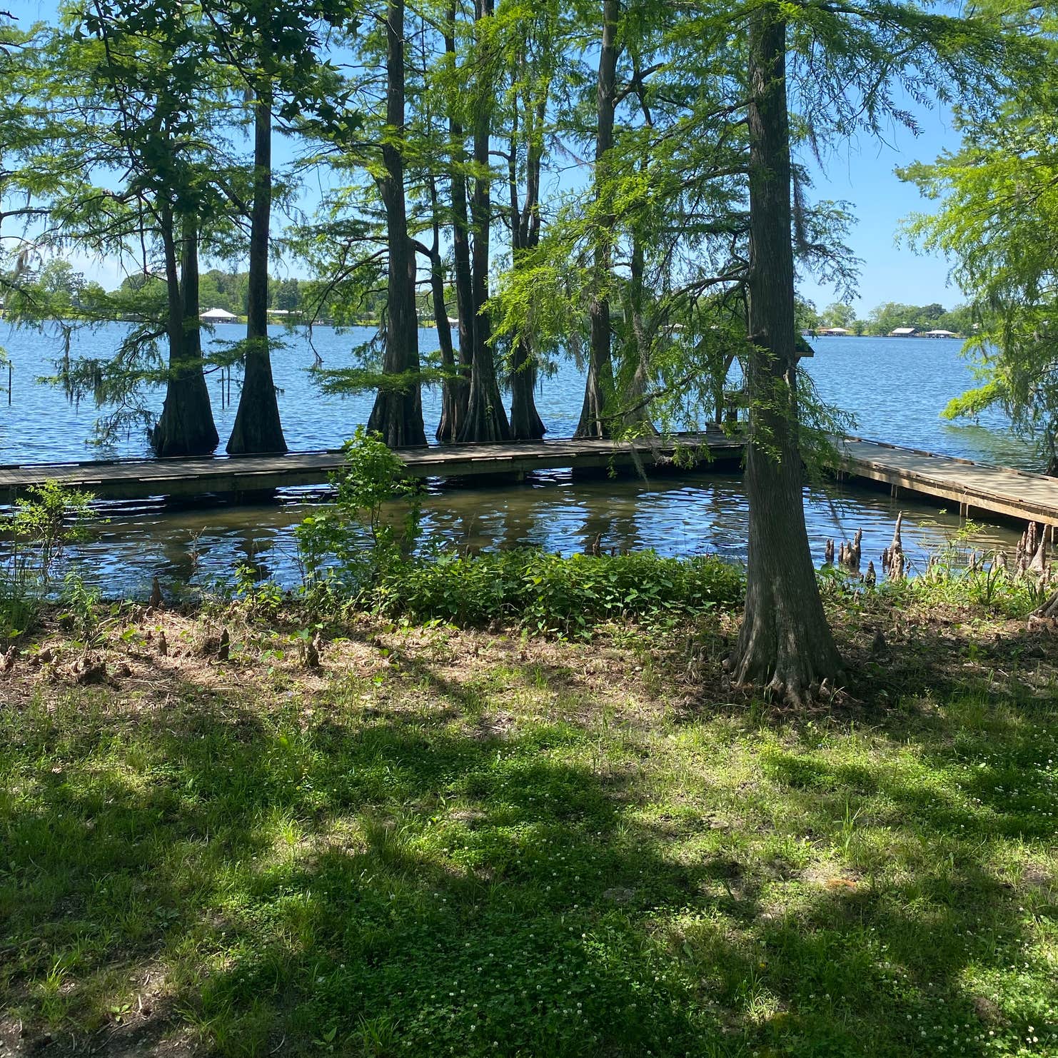 Lake Bruin State Park Campground St. Joseph, LA