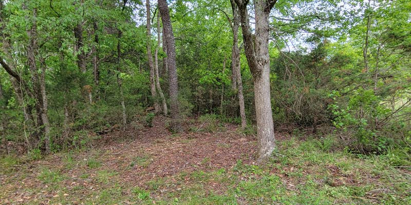 Camper submitted image from Bates Farm