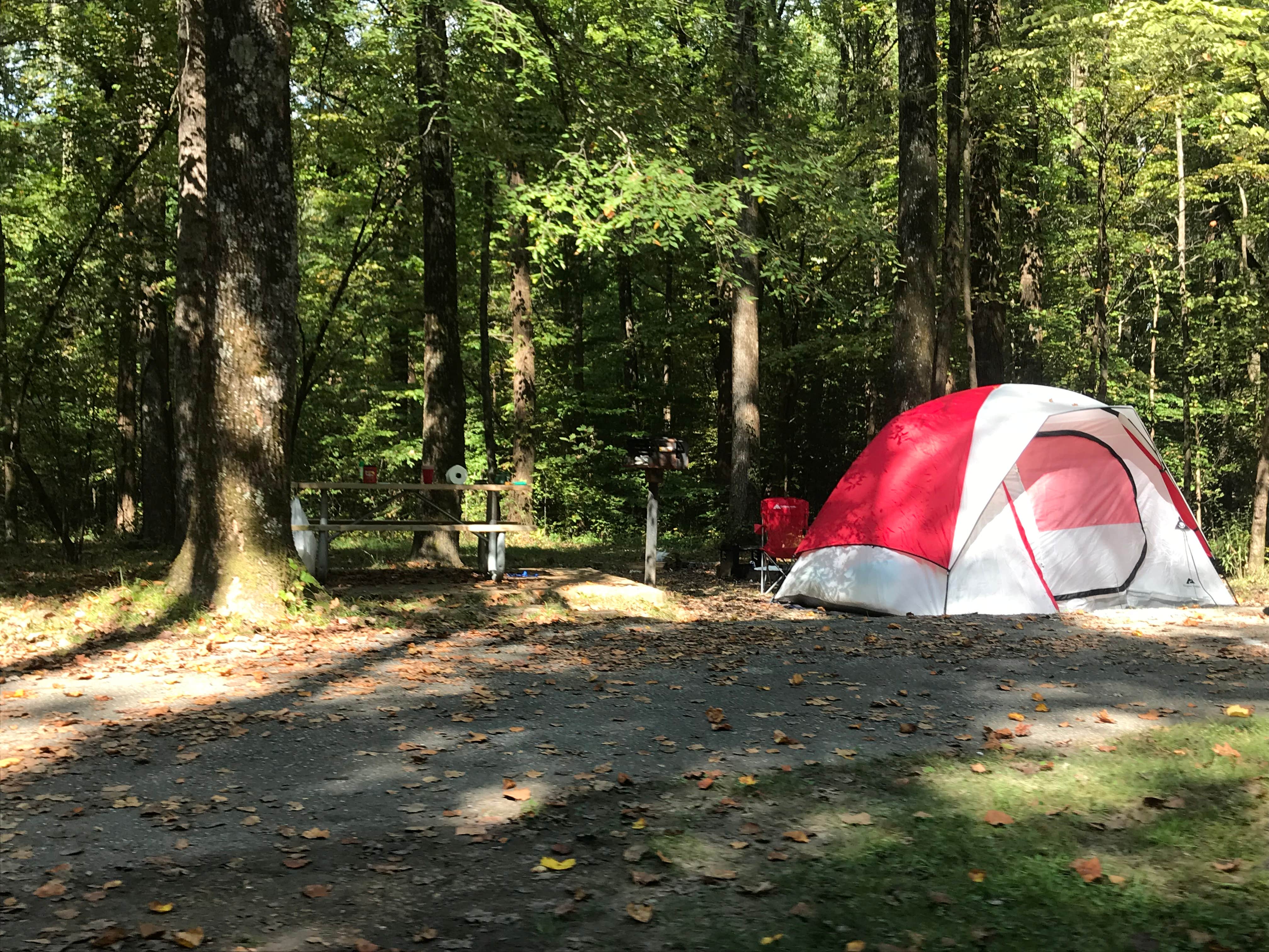 Camper submitted image from Meeman-Shelby Forest State Park - 3