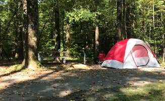 Shana D.'s photo at Meeman-Shelby Forest State Park near Germantown, TN