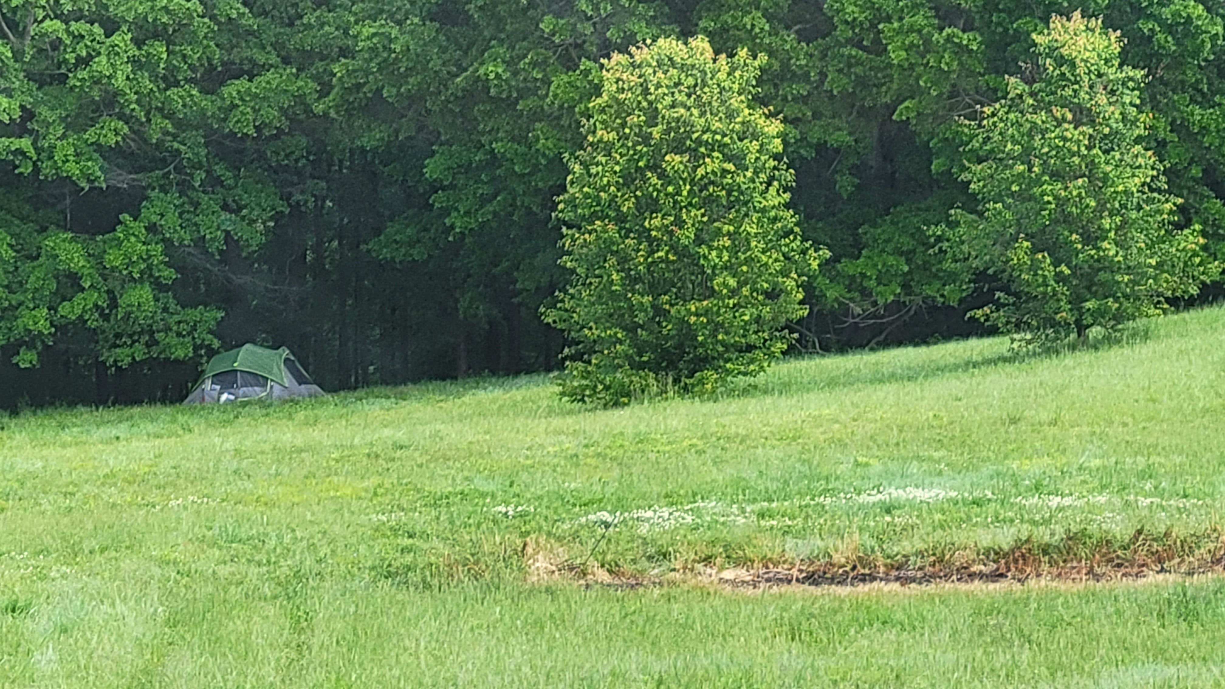 Mary B.'s photo at Bates Farm near Cullman, AL