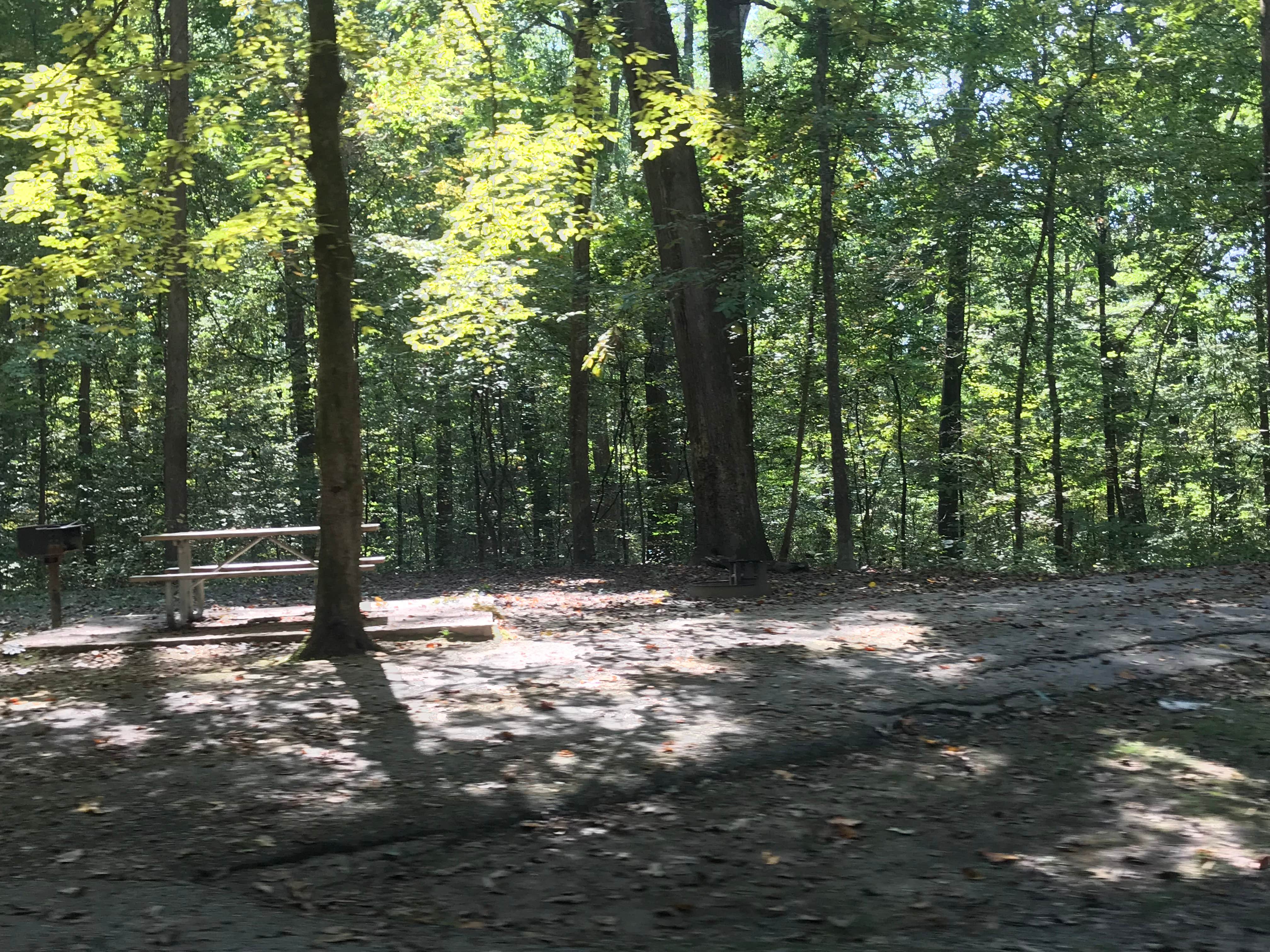 Camper-submitted photo at Meeman-Shelby Forest State Park near Manila, AR