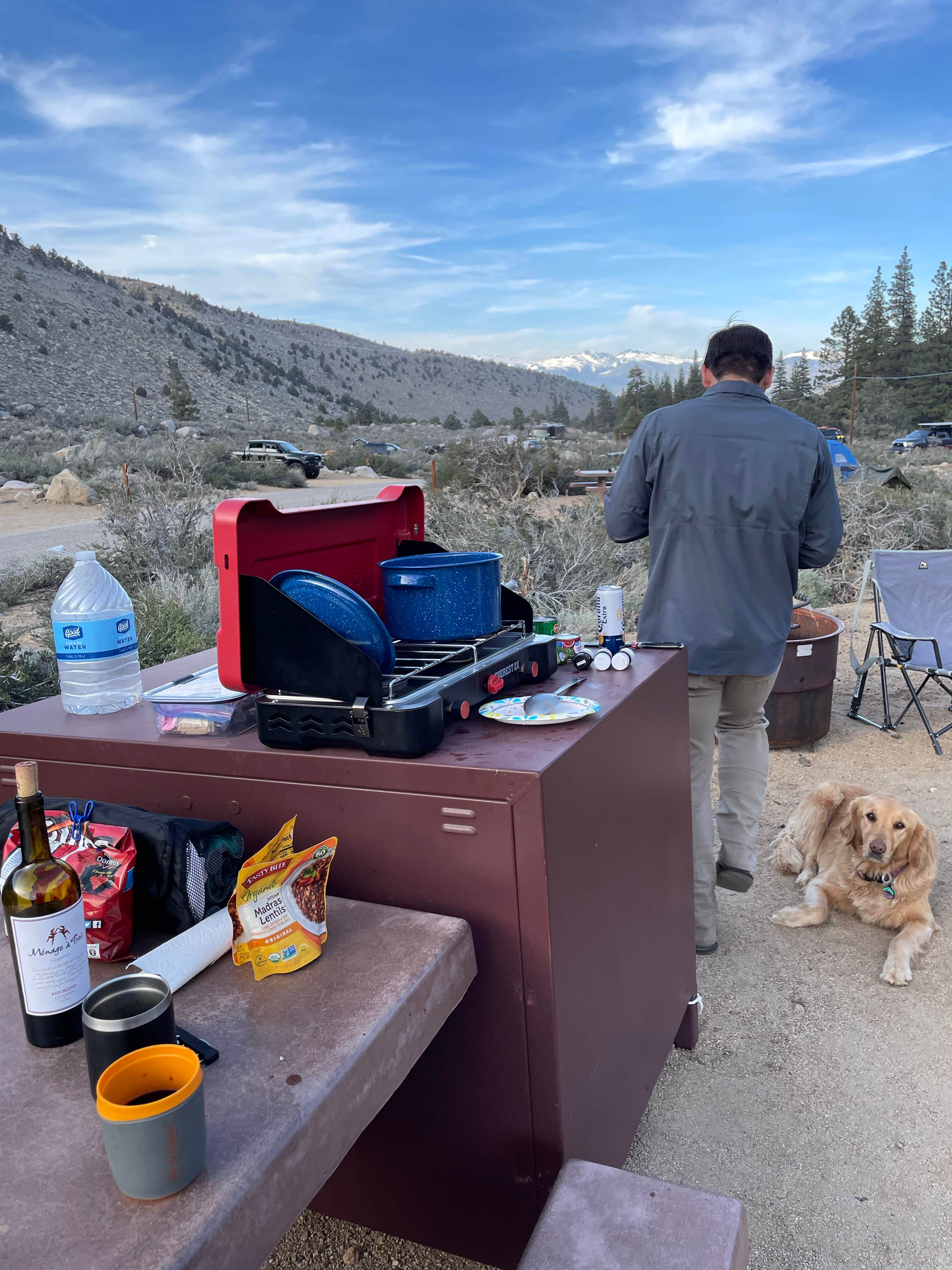 leilany's photo of camping with pets at Bitterbrush Campground near Dyer, NV