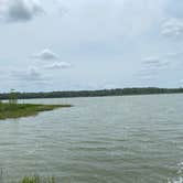 Review photo of Paynes Prairie Preserve State Park Campground by Amanda W., May 1, 2023