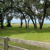 Review photo of Paynes Prairie Preserve State Park Campground by Amanda W., May 1, 2023