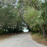 Review photo of Paynes Prairie Preserve State Park Campground by Amanda W., May 1, 2023