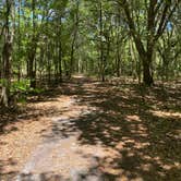 Review photo of Paynes Prairie Preserve State Park Campground by Amanda W., May 1, 2023