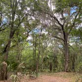 Review photo of Paynes Prairie Preserve State Park Campground by Amanda W., May 1, 2023