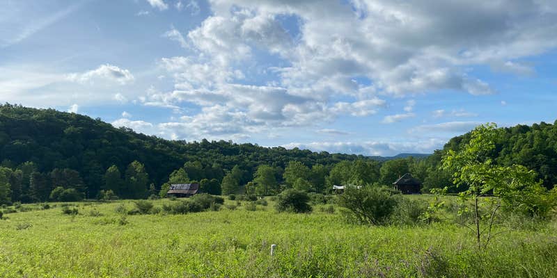 Camper submitted image from Gesundheit! Institute, Patch Adams