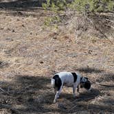 Review photo of Cinder Hills Off Highway Vehicle Area by jo , May 1, 2023