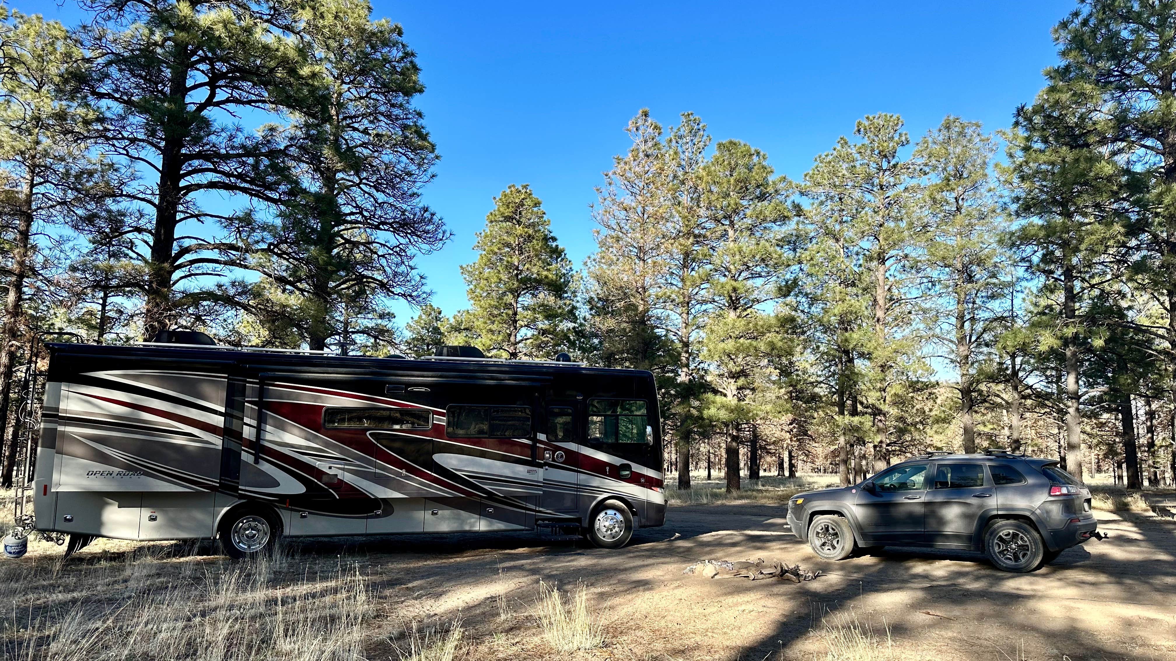 Camper-submitted photo at Lockett Meadow Dispersed Camping near Gray Mountain, AZ