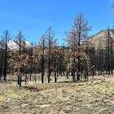 Review photo of Lockett Meadow Dispersed Camping by Ray & Terri F., May 2, 2023