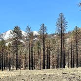 Review photo of Lockett Meadow Dispersed Camping by Ray & Terri F., May 2, 2023