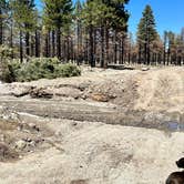 Review photo of Lockett Meadow Dispersed Camping by Ray & Terri F., May 2, 2023