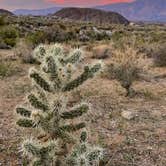 Review photo of Tuttle Creek Campground — Alabama Hills by Lee D., May 2, 2023