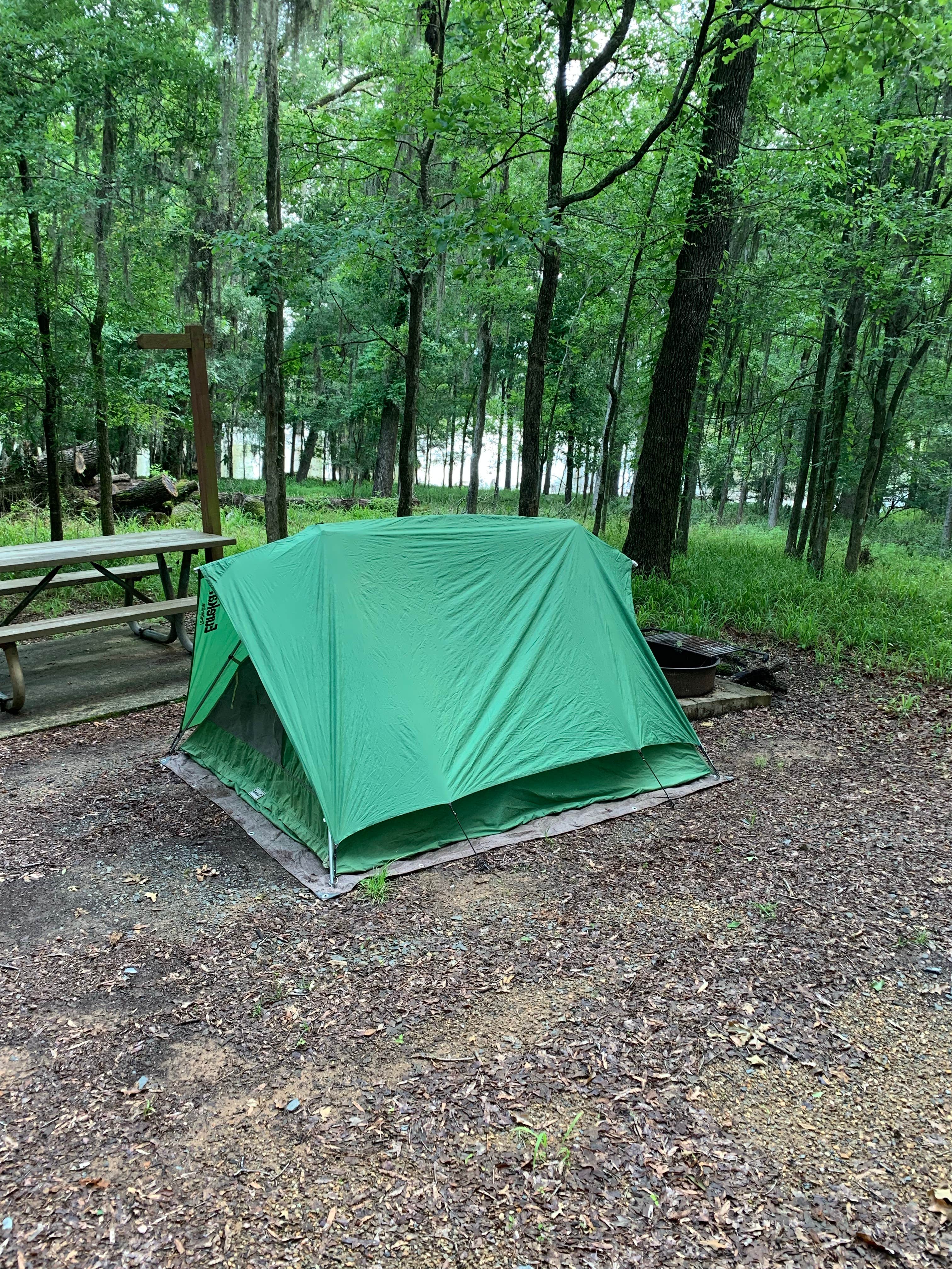Camper-submitted photo at Lake Bistineau State Park Campground near Shreveport, LA