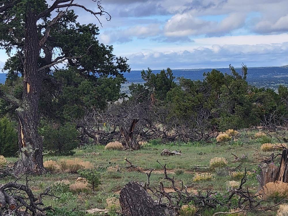 Camper-submitted photo at Sky View Park near Pinehill, NM
