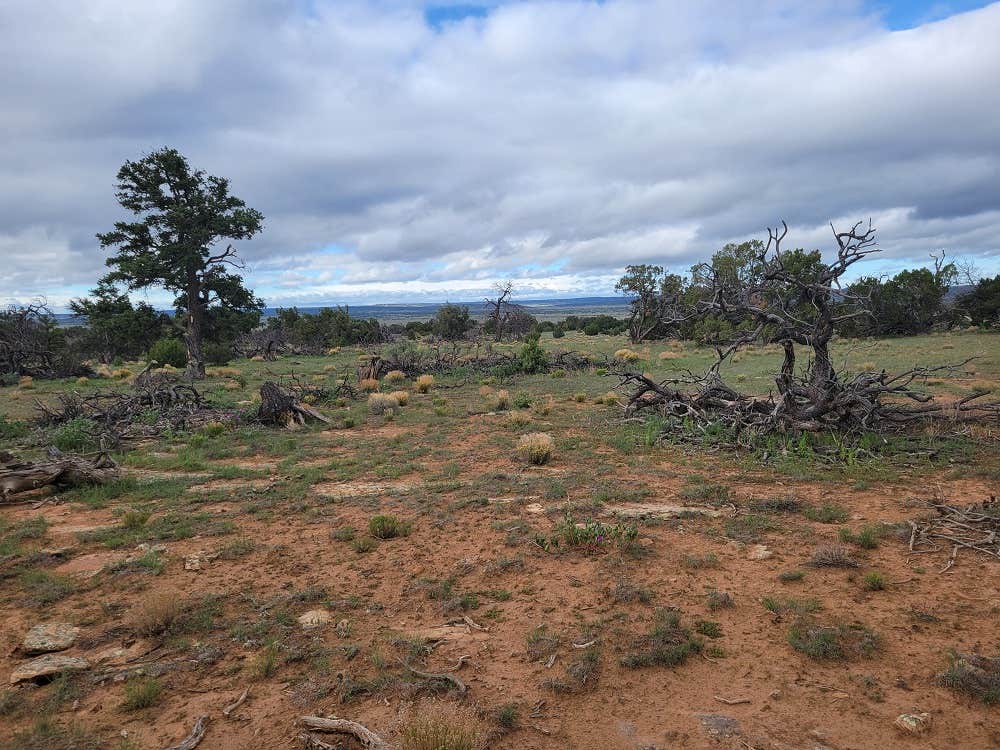 Camper-submitted photo at Sky View Park near Pinehill, NM