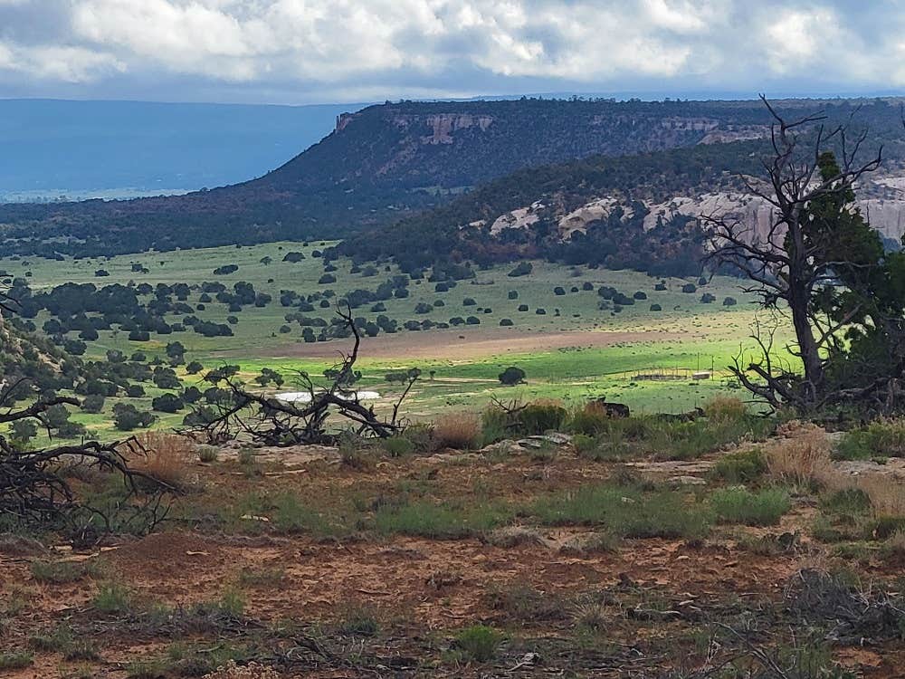 Camper-submitted photo at Sky View Park near Pinehill, NM