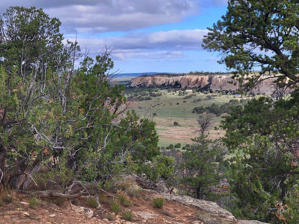 Camping near Quaking Aspen Campground: Sky View Park, Pinehill, New Mexico