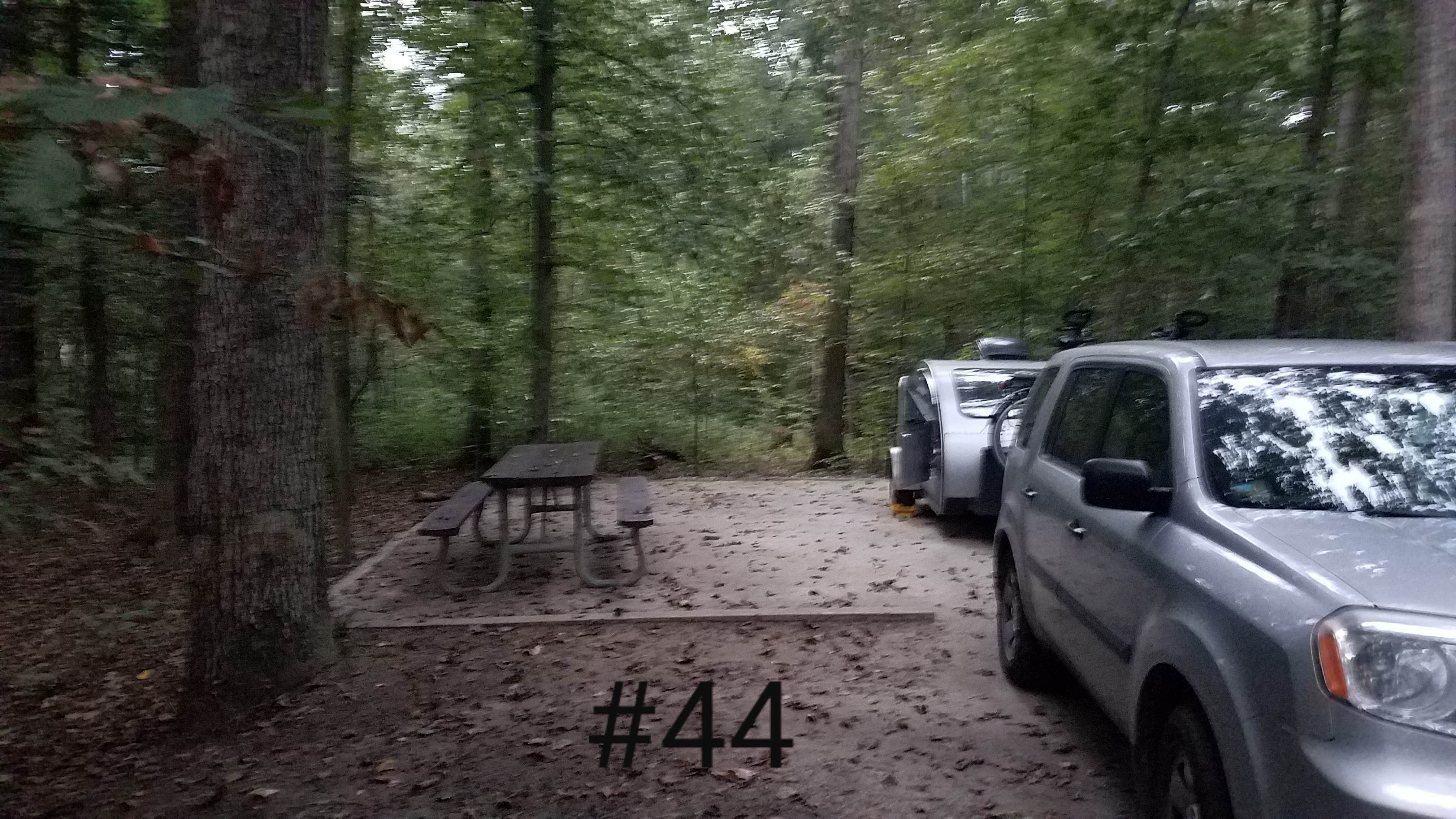 Our site. The creek is behind us in the woods.