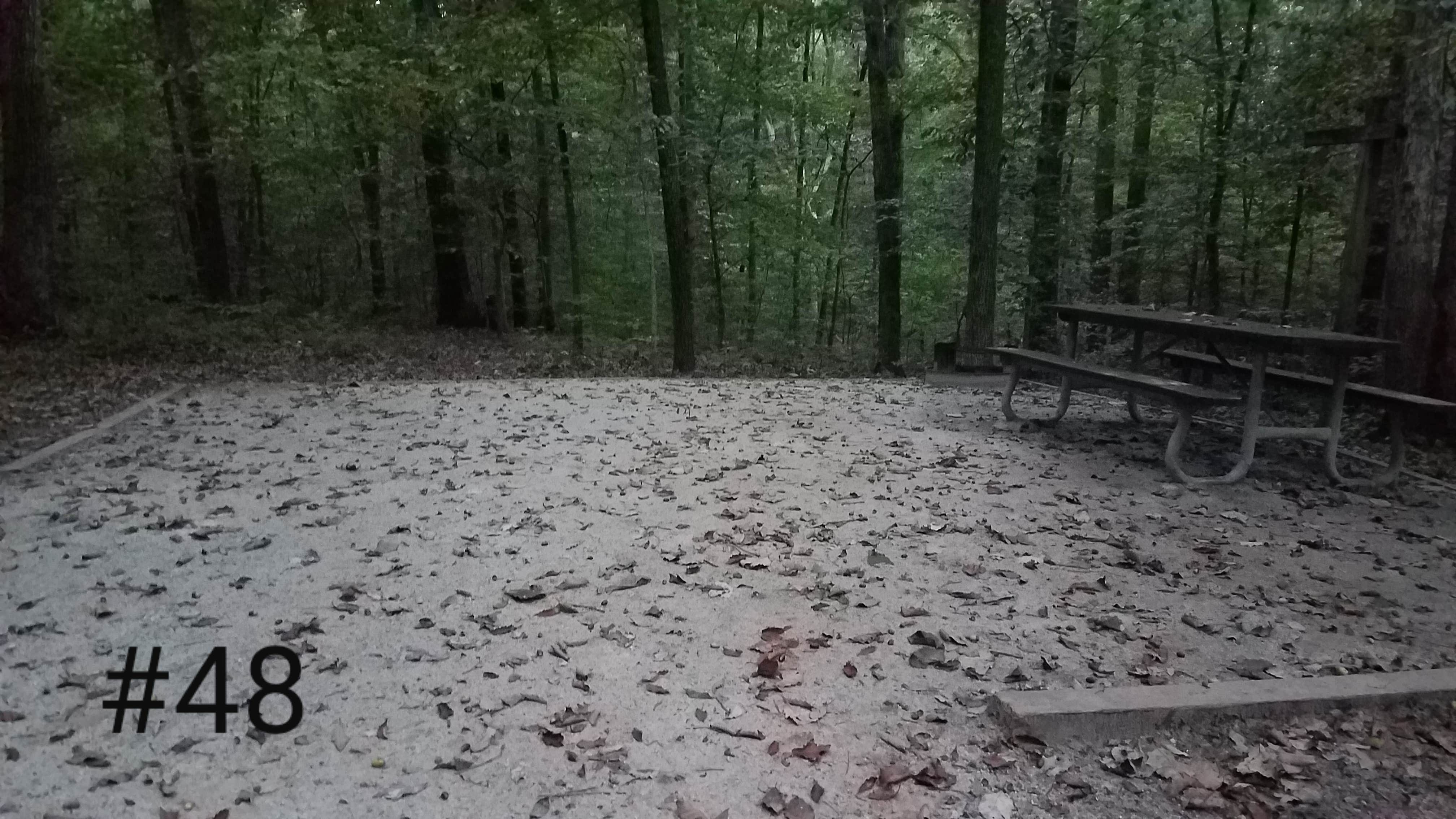 Good area for a tent with parking pad not shown in front of the photo