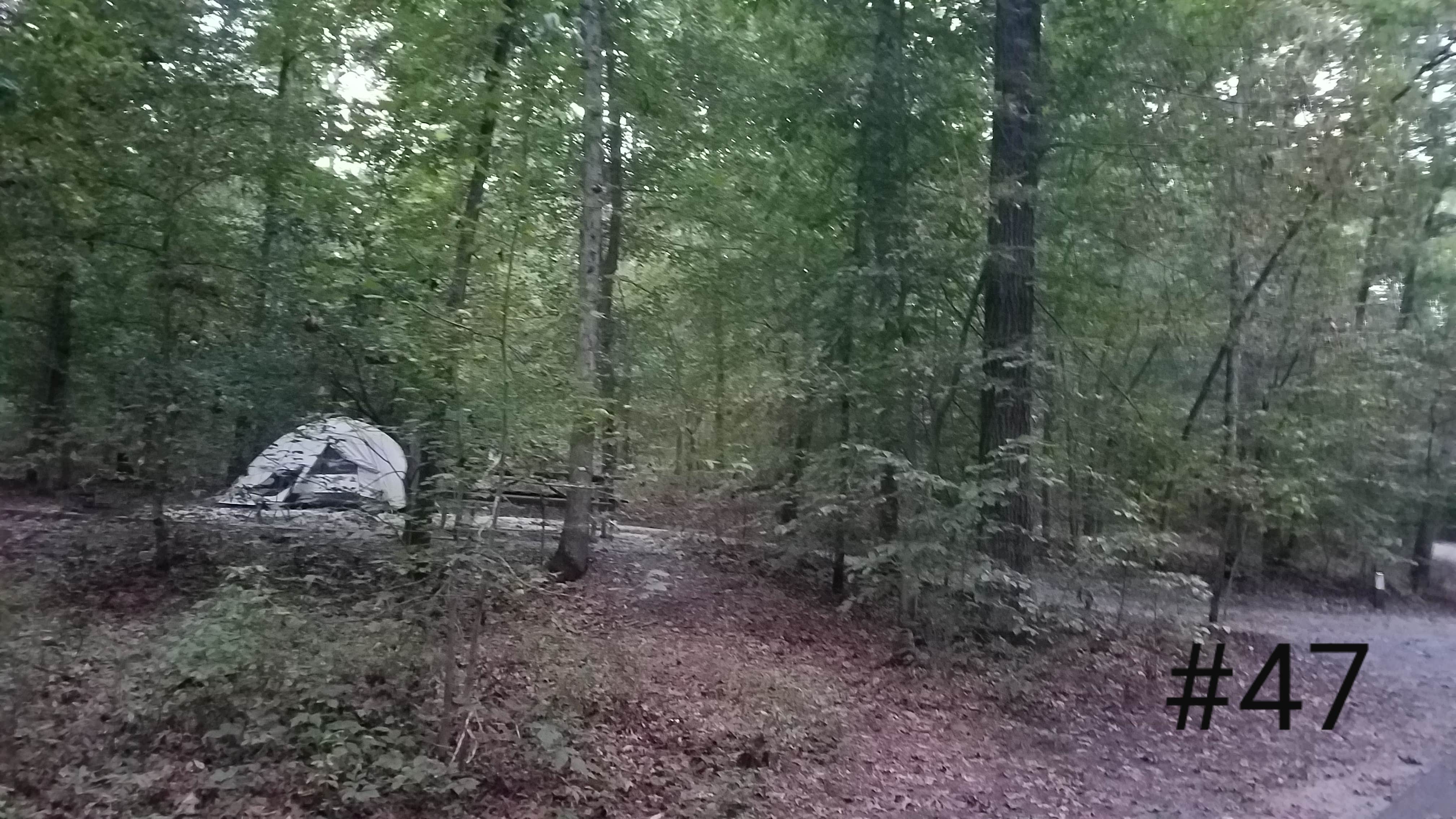 Side view  - deep site