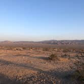 Review photo of Joshua tree BLM by entrance by Tamra J., May 2, 2023