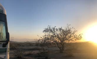 Camping near Los Palmas Oasis: Joshua tree BLM by entrance , Mecca, California