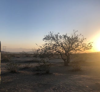 Camper-submitted photo from Joshua tree BLM by entrance 