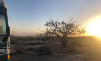 Camping near Chiriaco Summit Dry Camp Area: Joshua tree BLM by entrance , Mecca, California