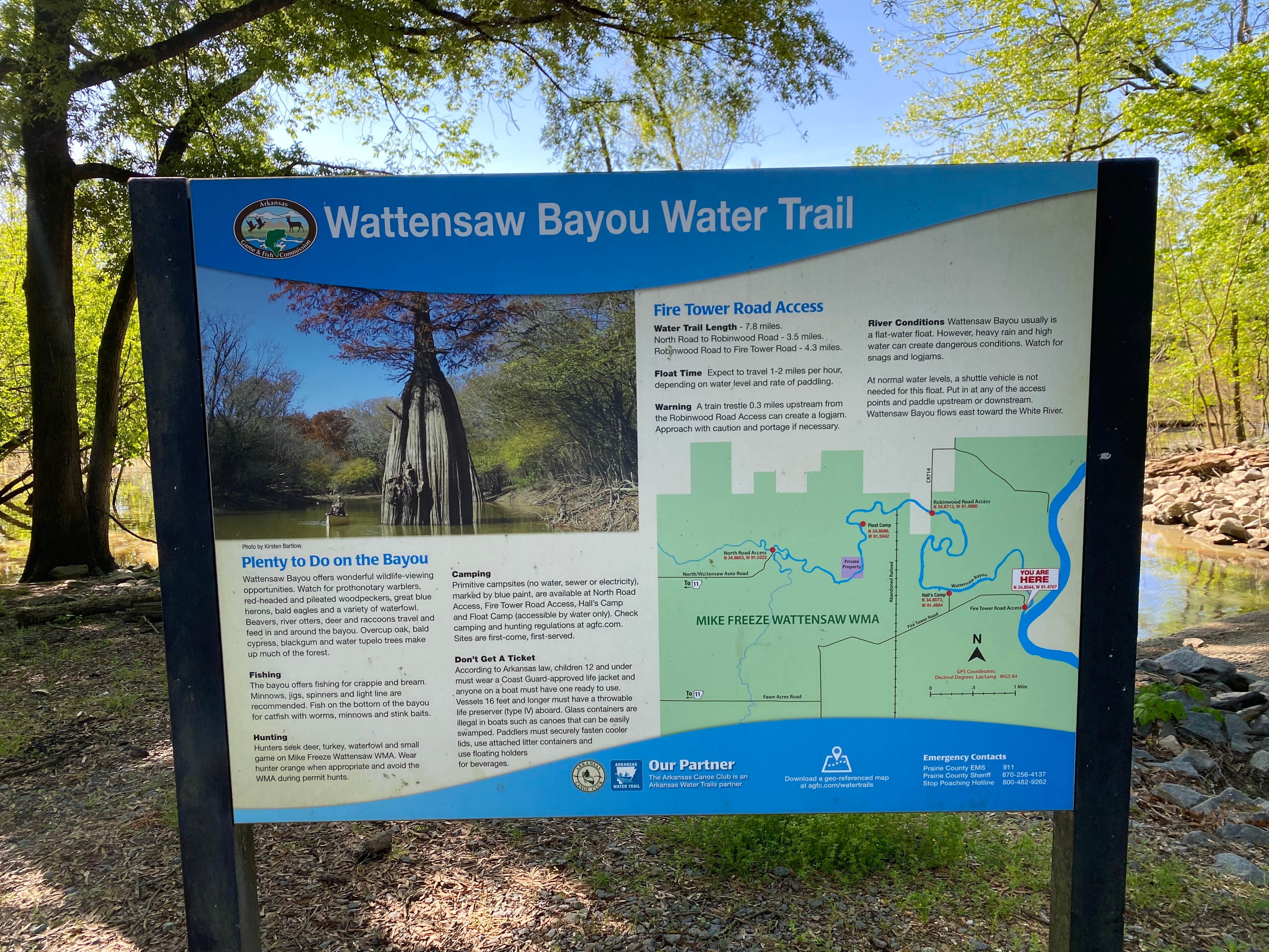 Camper-submitted photo at Mike Freeze Wattensaw  WMA near Wynne, AR