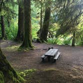 Review photo of Sol Duc Hot Springs Resort Campground — Olympic National Park by Alison C., October 8, 2018