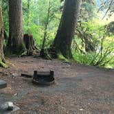 Review photo of Sol Duc Hot Springs Resort Campground — Olympic National Park by Alison C., October 8, 2018