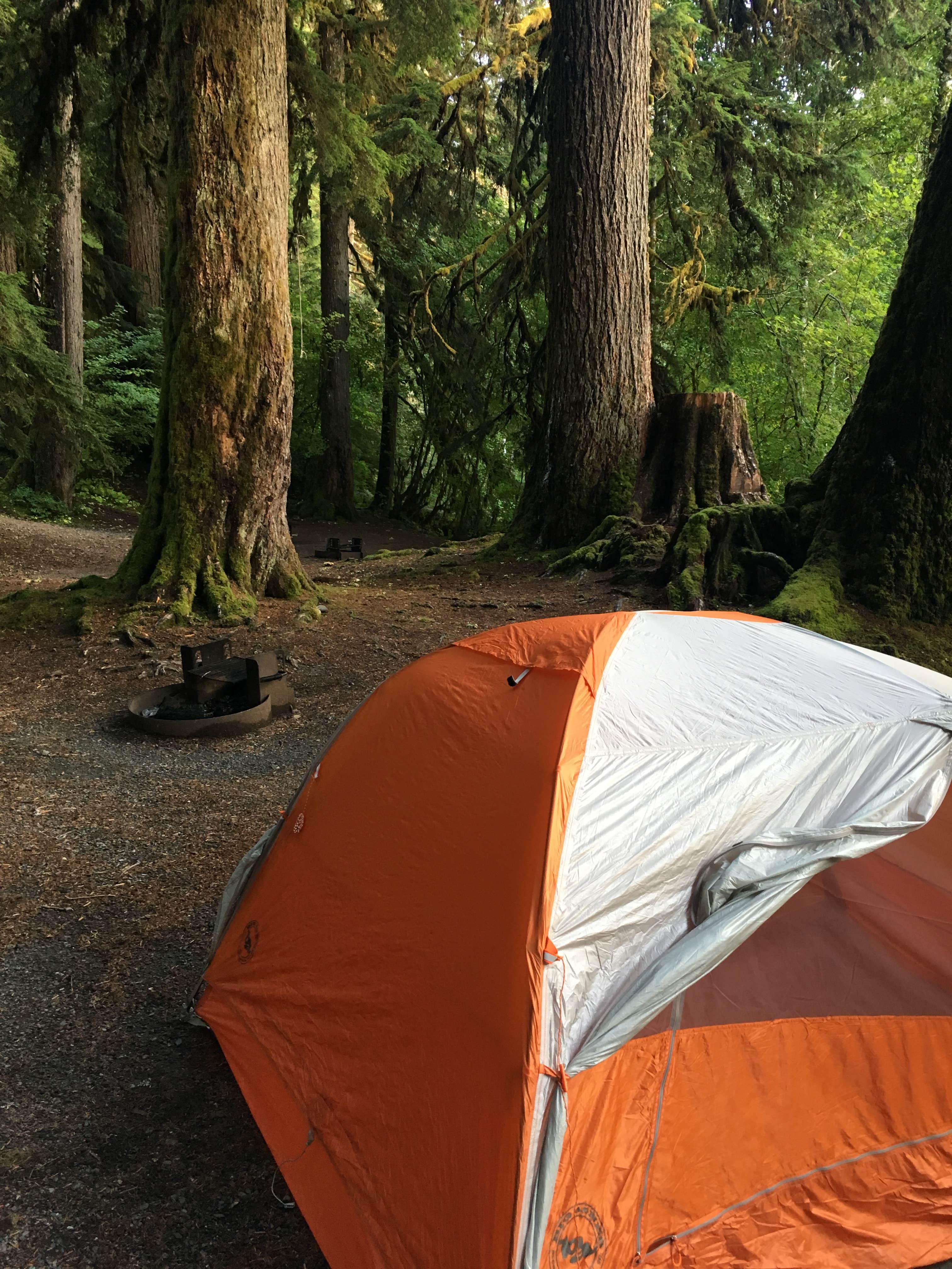 Alison C.'s photo at Sol Duc Hot Springs Resort Campground — Olympic National Park near Olympic National Park