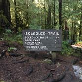 Review photo of Sol Duc Hot Springs Resort Campground — Olympic National Park by Alison C., October 8, 2018